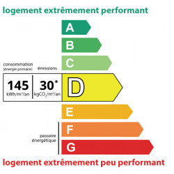 Diagnostic DPE